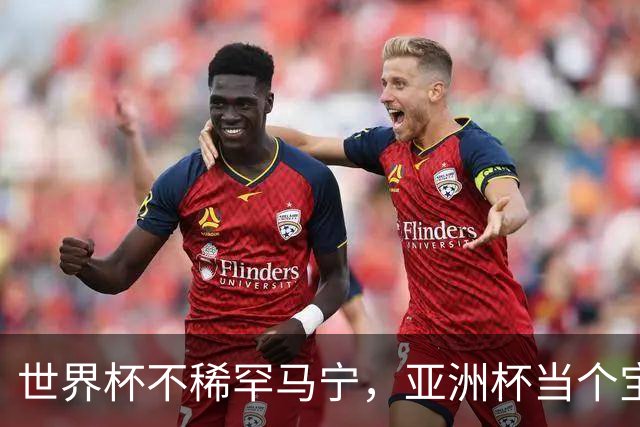 世界杯不稀罕马宁，亚洲杯当个宝！球迷：他吹决赛阿根廷不敢造次